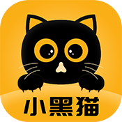 麻豆网站APP应用